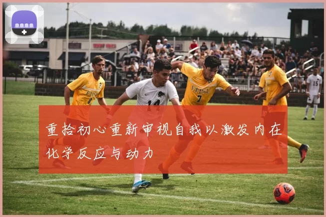 重拾初心重新审视自我以激发内在化学反应与动力